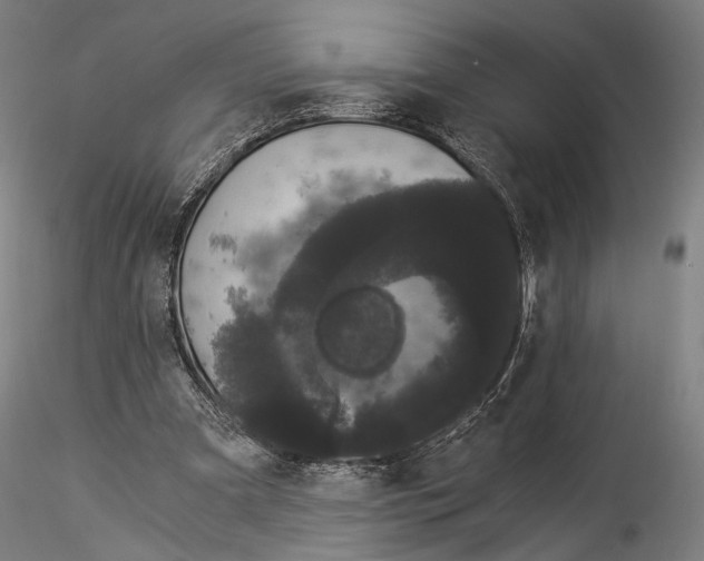 X0000114520297200911301122