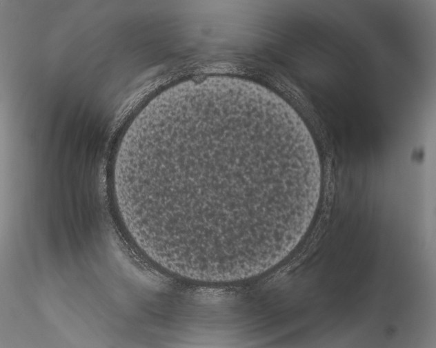 X0000114520298200911301122