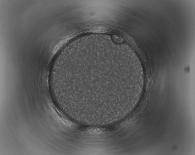 X0000114520299200911301122