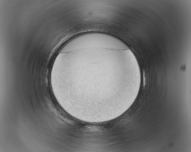 X0000114520300200911301122