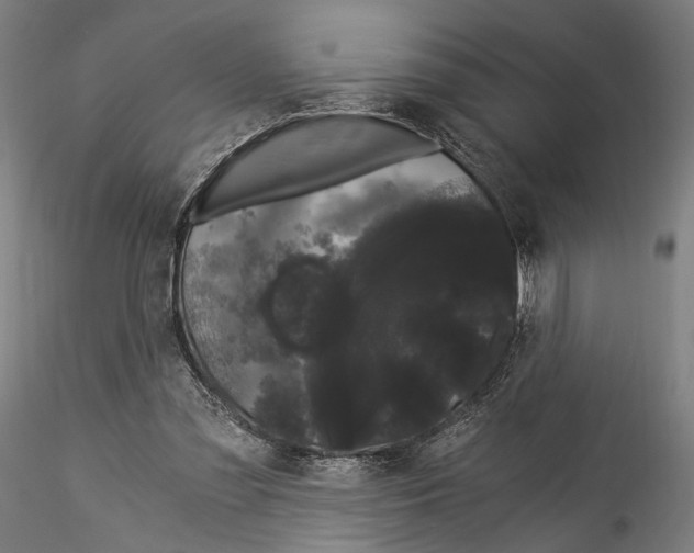 X0000114520301200911301122