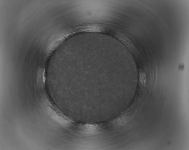 X0000114520302200911301122