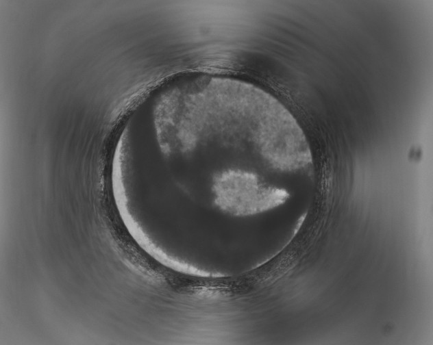 X0000114520303200911301122