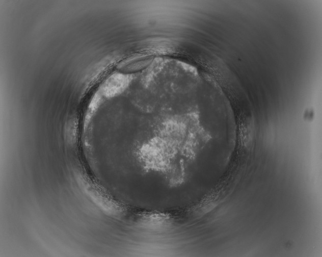 X0000114520304200911301122