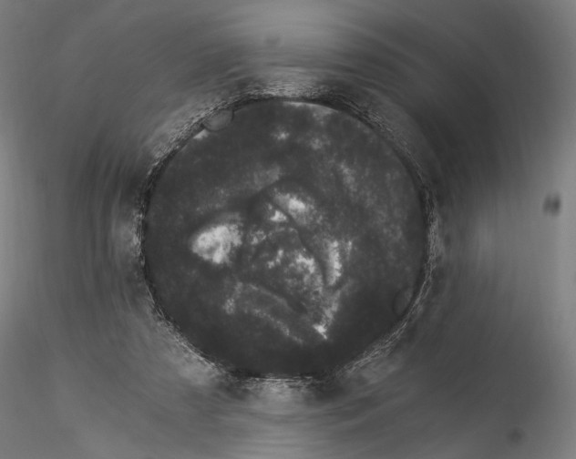 X0000114520305200911301122