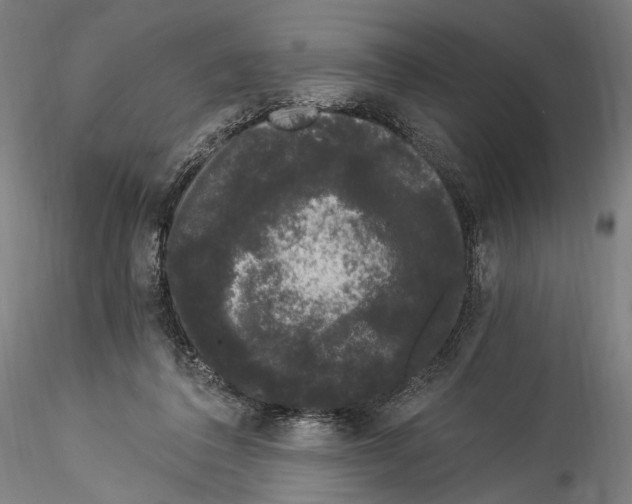 X0000114520308200911301122