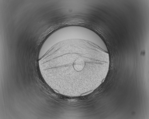 X0000114520309200911301122