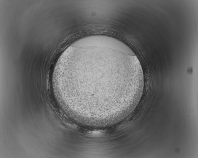 X0000114520312200911301122