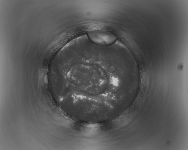 X0000114520313200911301122