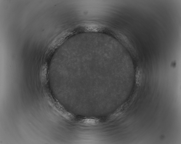 X0000114520314200911301122