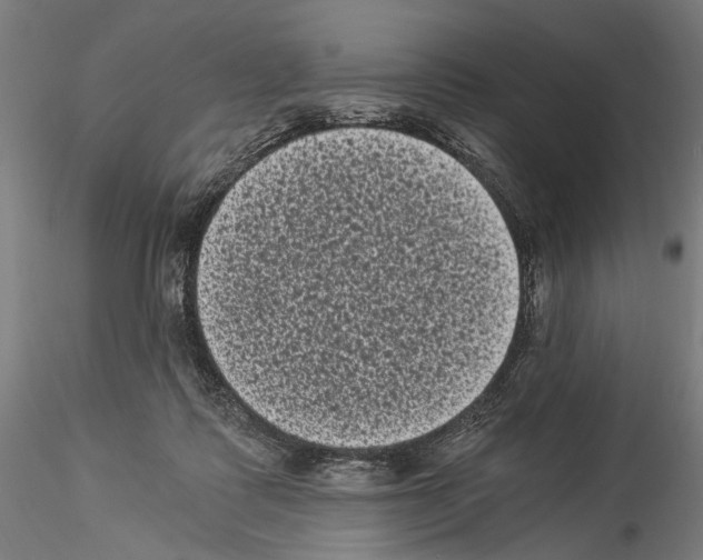 X0000114520315200911301122