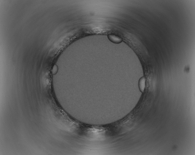 X0000114520317200911301122