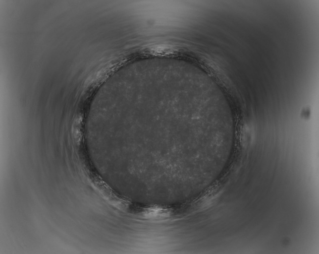 X0000114520319200911301122