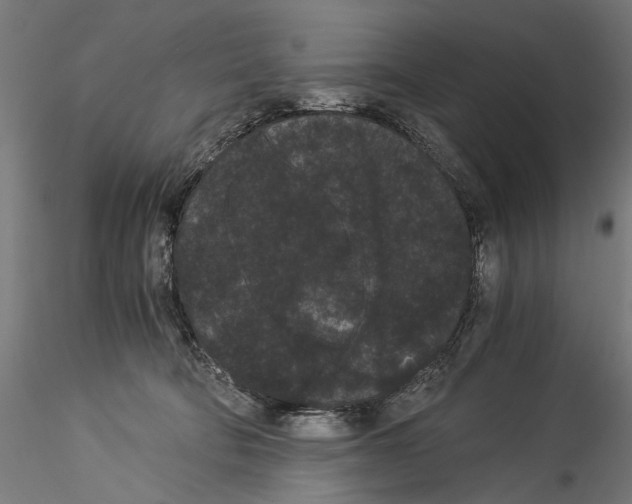 X0000114520322200911301122