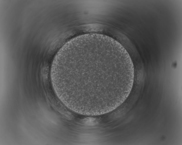 X0000114520326200911301122