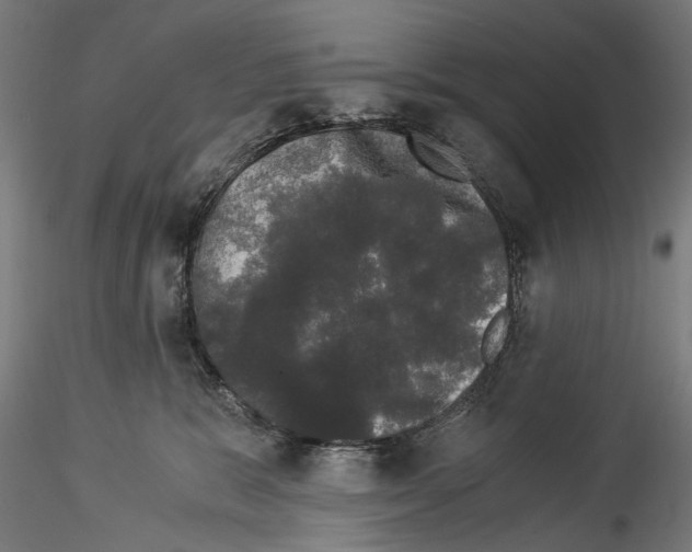 X0000114520327200911301122