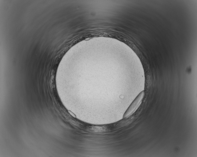 X0000114520328200911301122