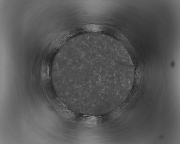 X0000114520330200911301122