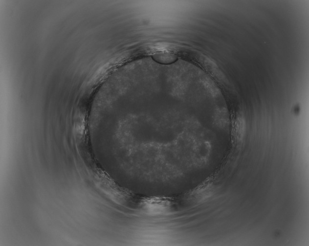 X0000114520331200911301122