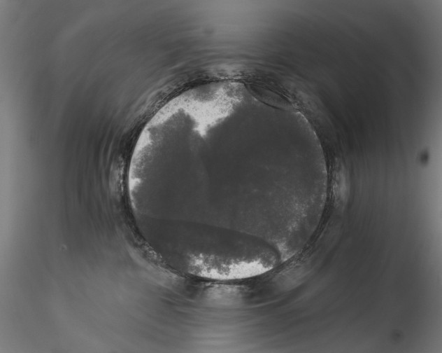 X0000114520332200911301122