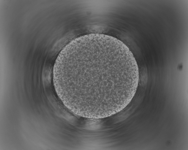 X0000114520334200911301122