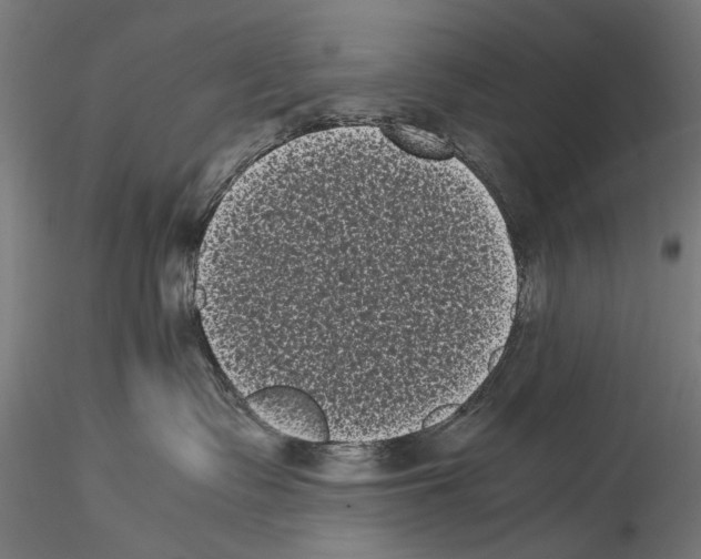 X0000114520335200911301122