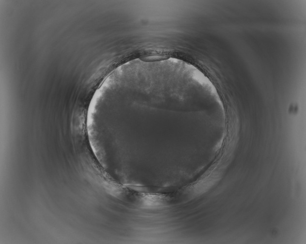 X0000114520336200911301122