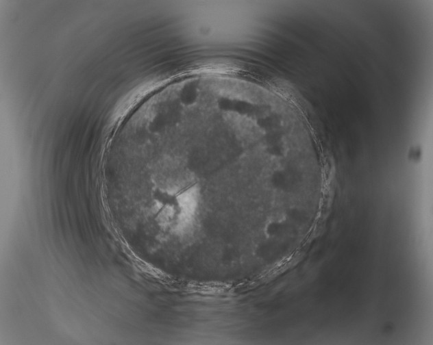 X0000114520337200911301121