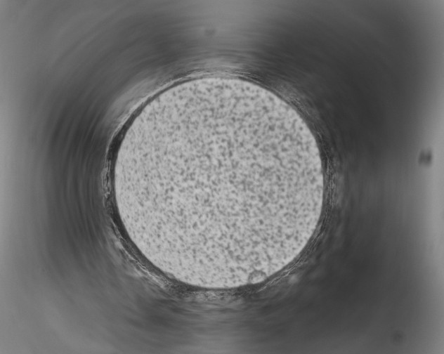 X0000114520338200911301121