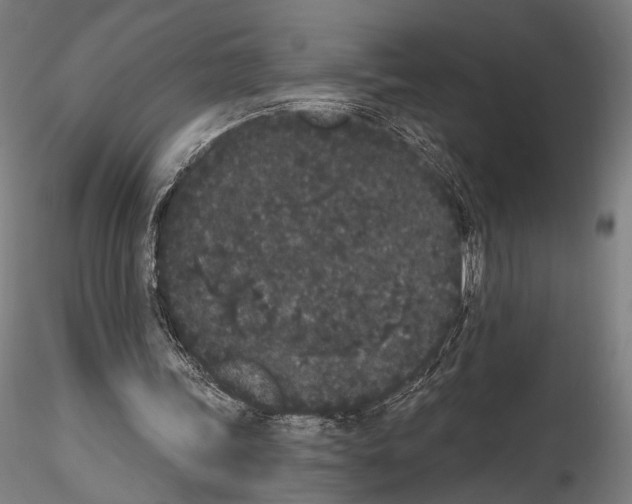 X0000114520339200911301121