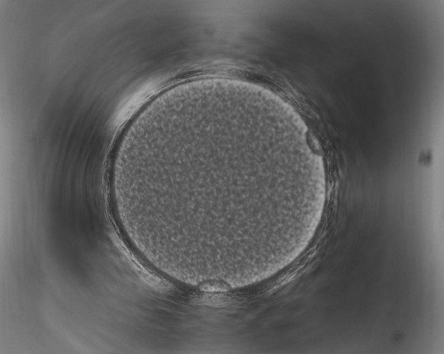 X0000114520341200911301121