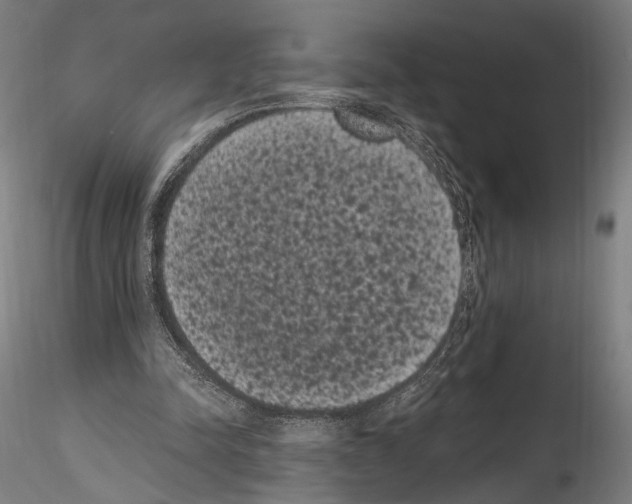 X0000114520342200911301121