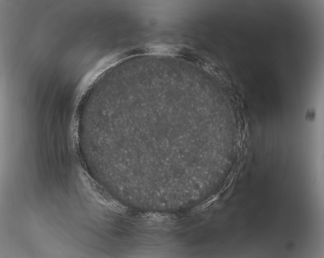 X0000114520343200911301121