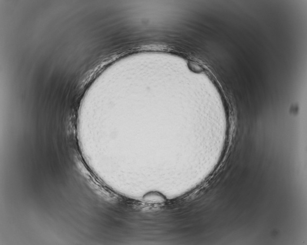 X0000114520345200911301121