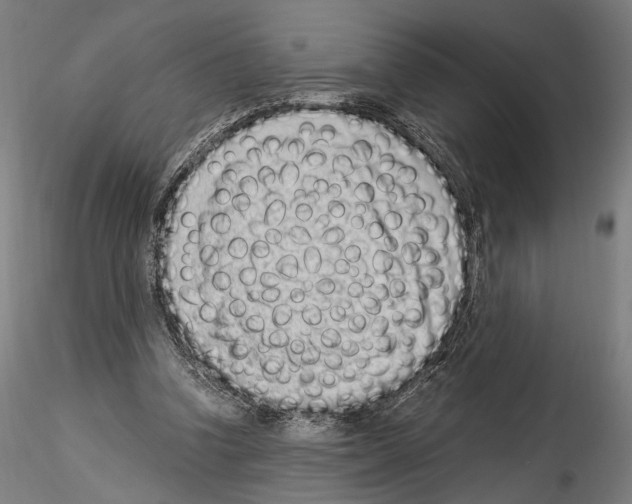 X0000114520346200911301121