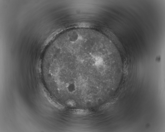 X0000114520347200911301121