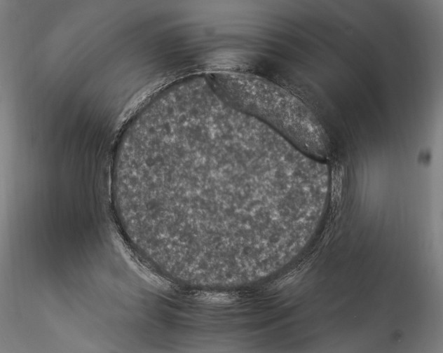 X0000114520349200911301121