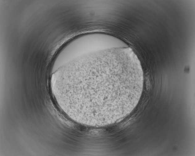 X0000114520350200911301121