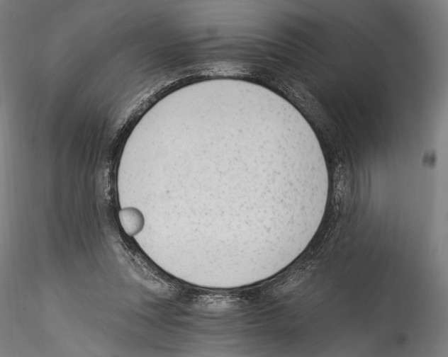 X0000114520351200911301121