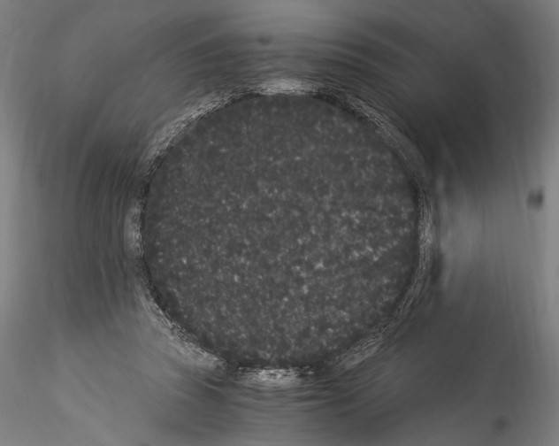 X0000114520353200911301121