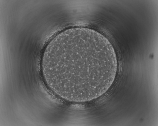 X0000114520354200911301121