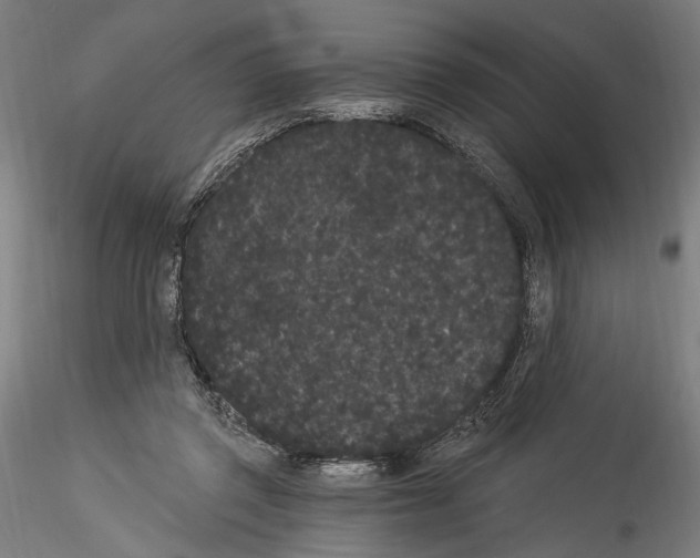 X0000114520357200911301121