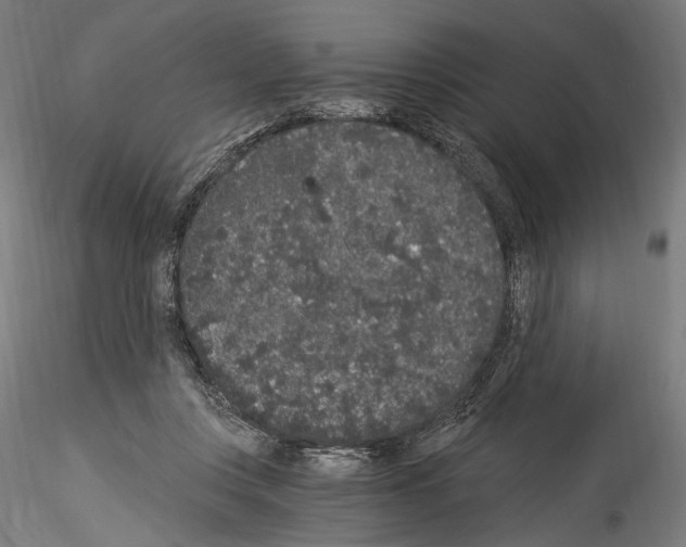 X0000114520359200911301121