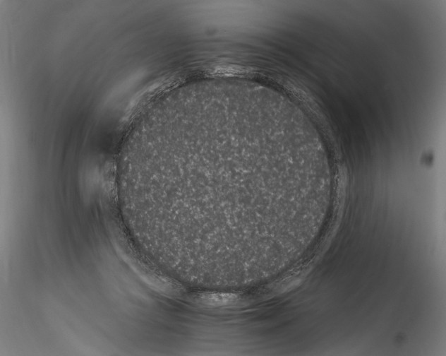 X0000114520361200911301121