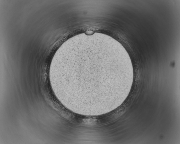 X0000114520362200911301121