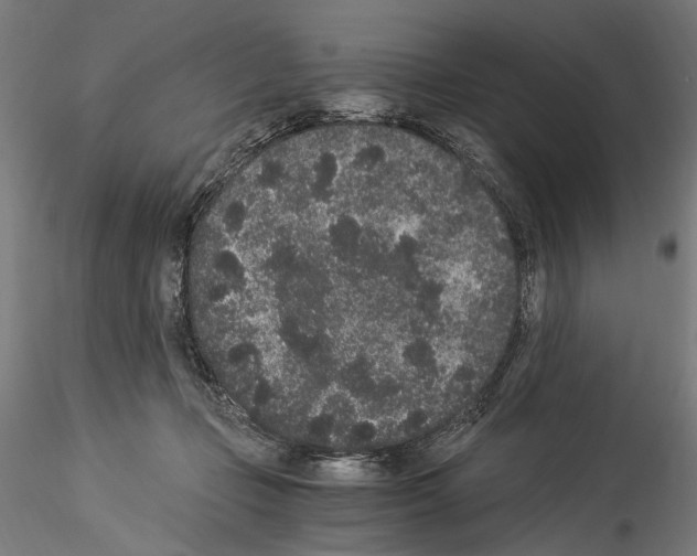 X0000114520365200911301121