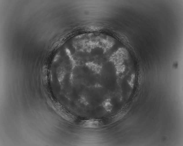 X0000114520366200911301122