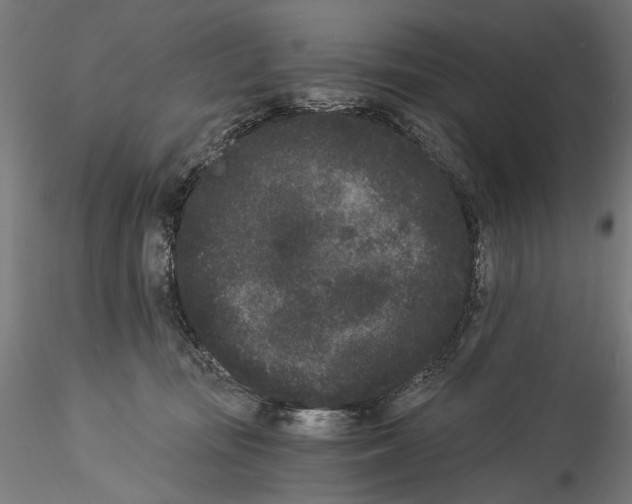 X0000114520371200911301122