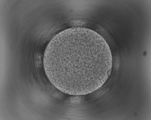 X0000114520378200911301122