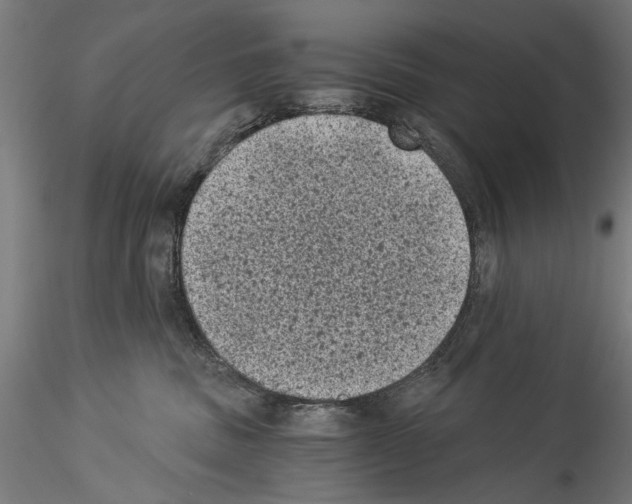 X0000114520379200911301122